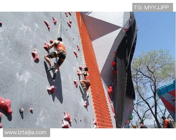南京攀岩队团队协作新模式探讨与热议攀岩运动的未来发展 南京攀岩队团队协作新模式探讨与热议攀岩运动的未来发展